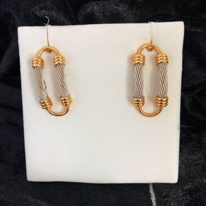 Roma 22K Gold & Stainless Steel Silver Earrings